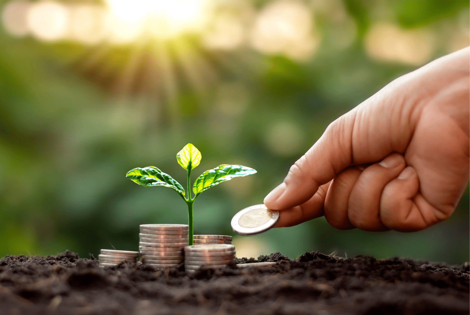¿Cómo hacer un plan financiero para tu negocio?